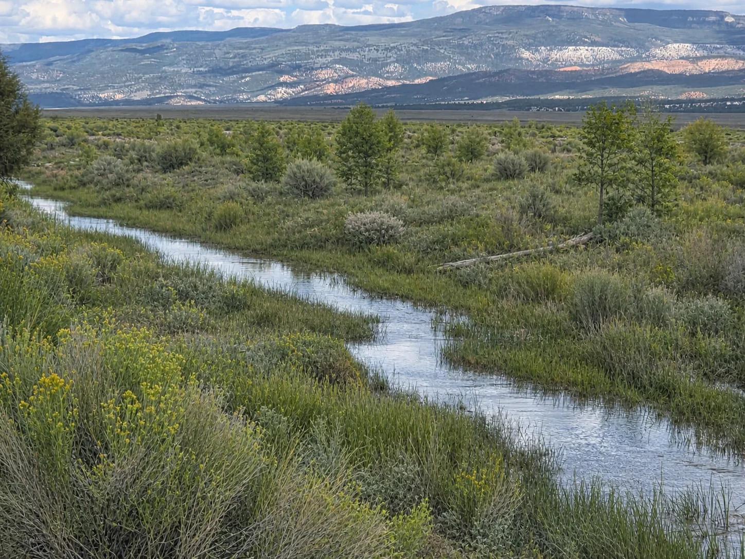 Illustrative preserved natural river corridor at Bryce Farms