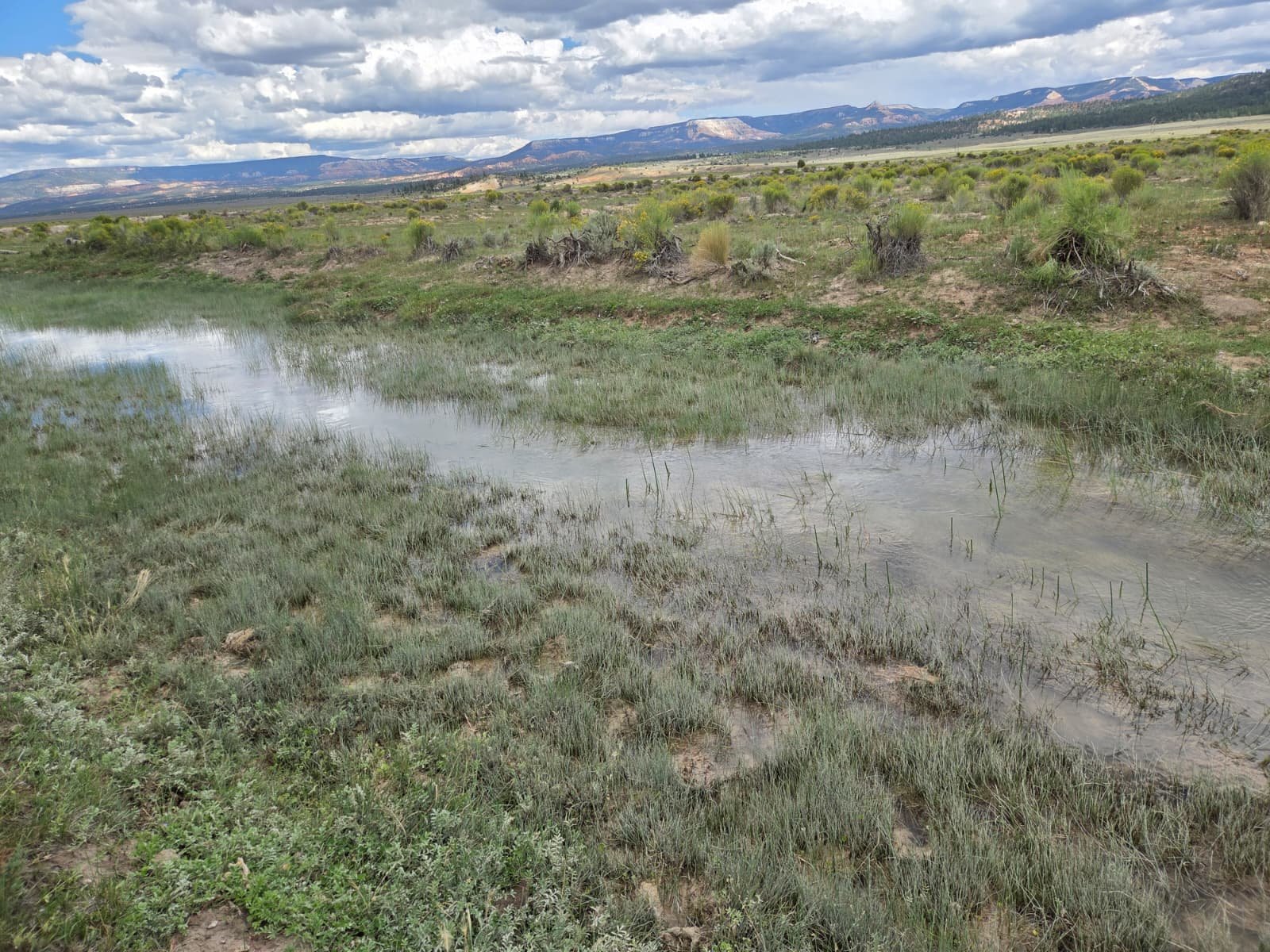 Water and distant escarpment