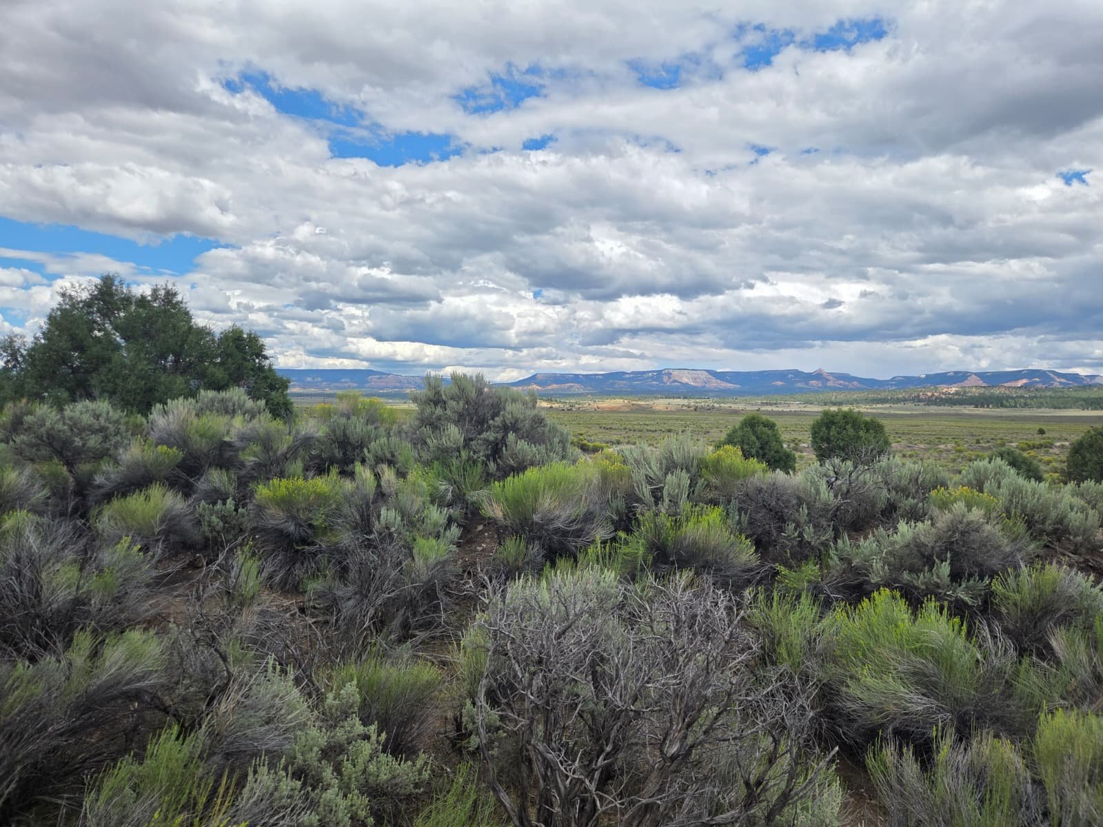 Open terrain and mountain horizon