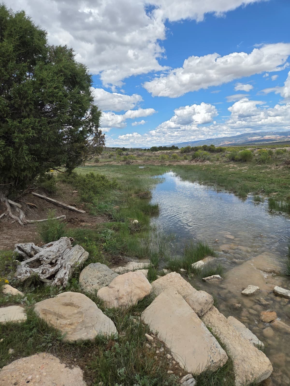 Natural water corridor at close range