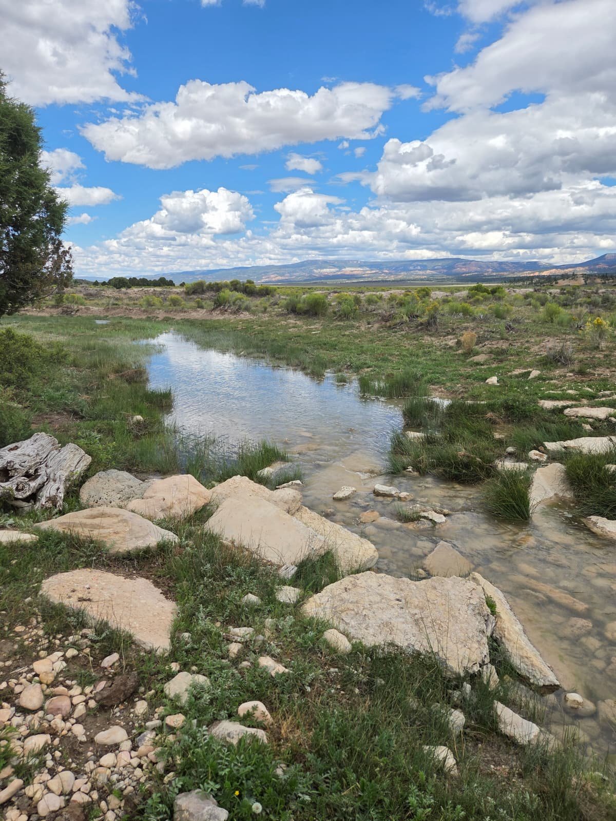 Headwater detail on the property