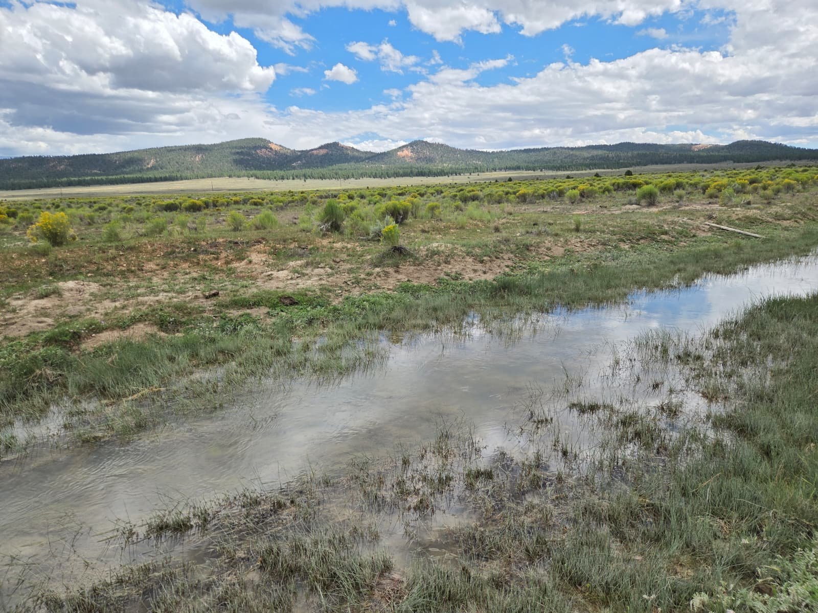 Water, meadow and mountain context