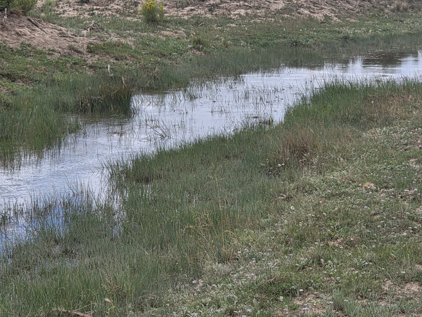 Surface-water detail