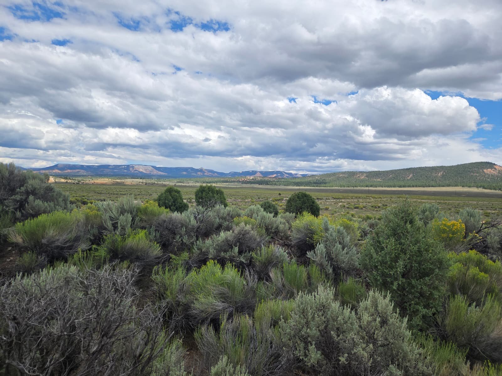 Broad high-desert site view